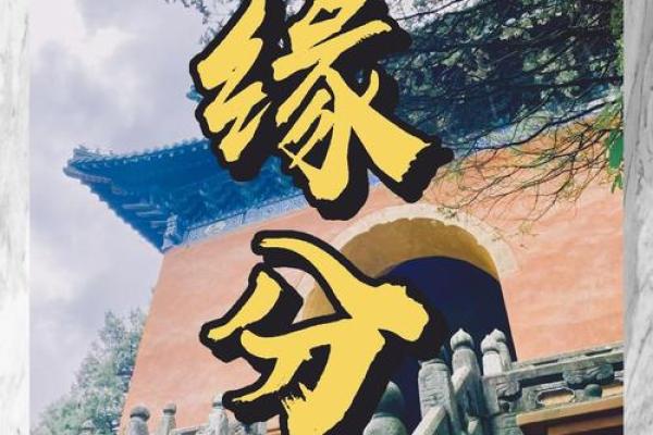 命里带点缘分：探寻缘分的奥秘与魅力
