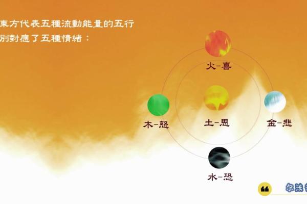 探秘梁文珊的五行命理：金木水火土的和谐之道