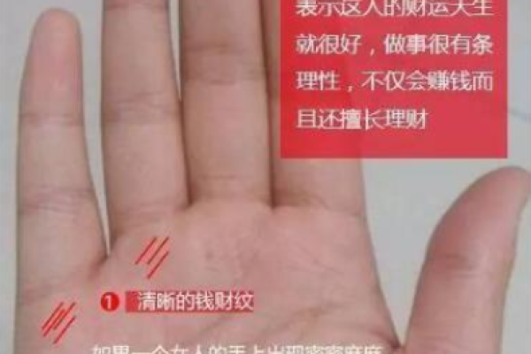探秘拇指头的圆润命格，揭示你内心深处的智慧与潜力
