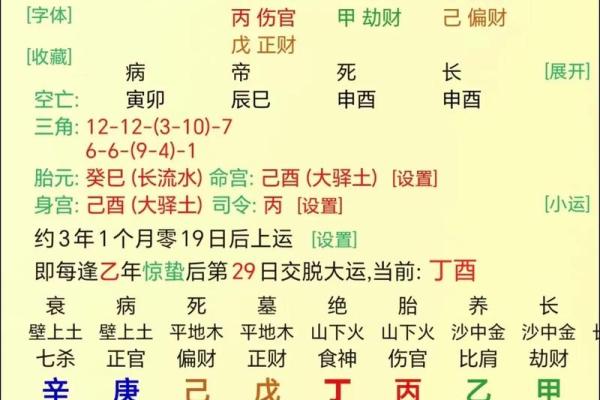 命局中有子午的命格解析与人生启示