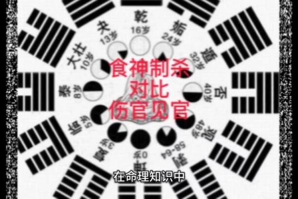 探秘命理：女性命局中的食神与伤宫解读