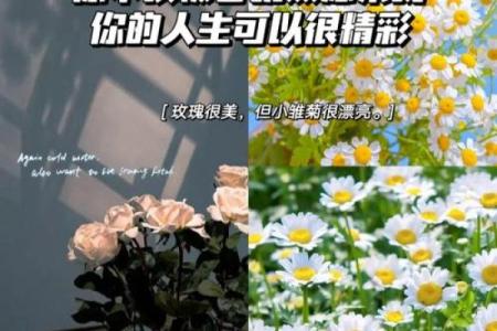 解读命格5.4：如何发挥你的天赋与潜力，活出精彩人生