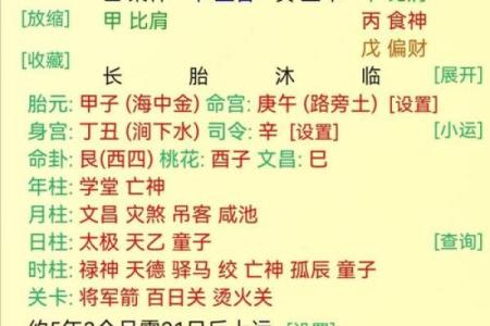 探索平地木命八字：解读命理与生活的深刻联系