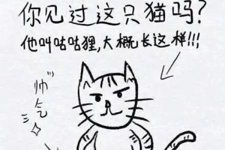 探索猫咪的五行命理:揭秘它们的灵性与性格特征