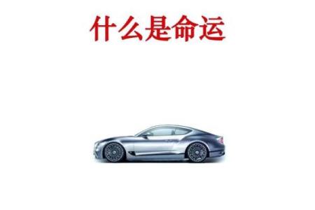 命好的女人：运势与性格的完美结合，成就非凡人生