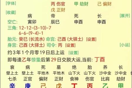 命局中有子午的命格解析与人生启示