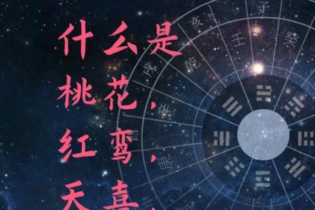 命里带桃花的男人：魅力与感情的双重探讨
