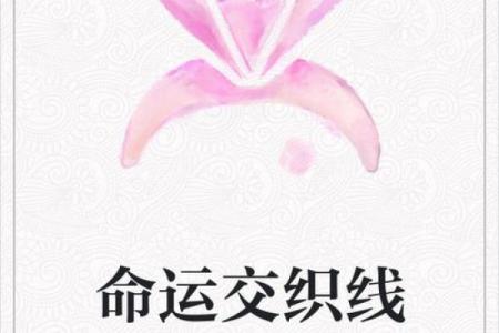 命里有孤星:探寻孤独与命运交织的深意