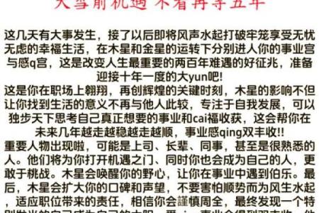 农历七月二十八的虎命揭秘：你与生俱来的命运之旅