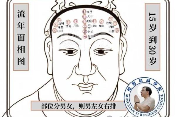 探秘龙年命理：如何选择适合你的命运与未来方向