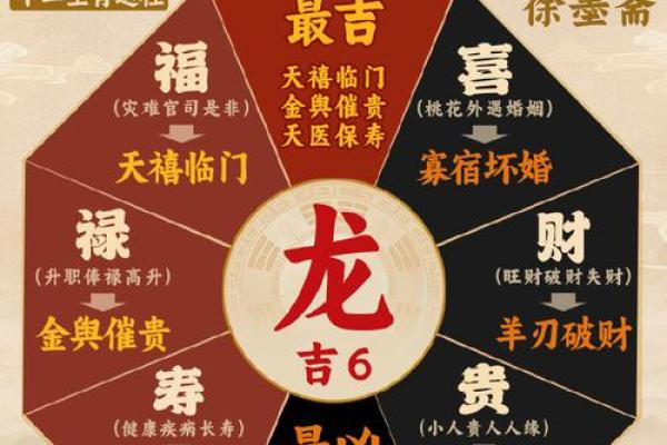 探索女属龙的五行命理和人生轨迹