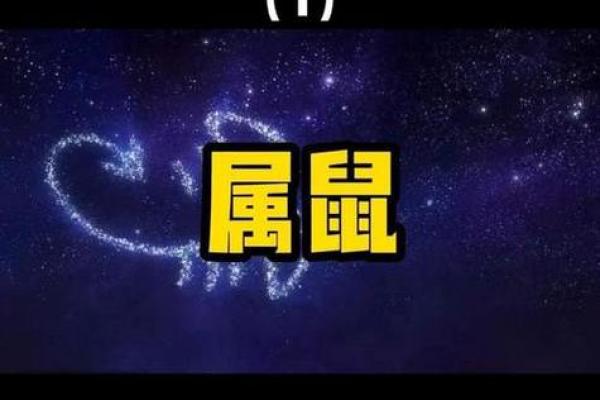 农历五月属鼠的命运与人生启示：从五行看鼠年的特质与发展