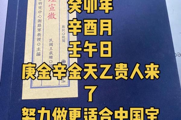 四阳命理：解密阳光之下的运势与人生
