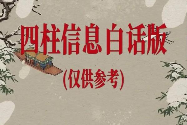 四阳命理：解密阳光之下的运势与人生
