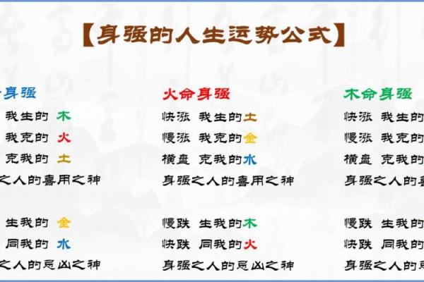 女人水命身强的深层解析与生活运用
