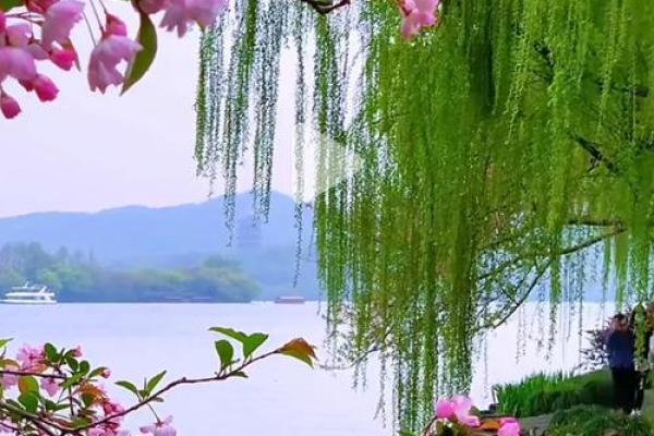 命里缺火的人适合种哪些植物？探寻与阳光相伴的生机之道！