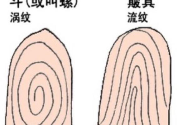 手上十个螺的女人：命运与生活的奇妙交织