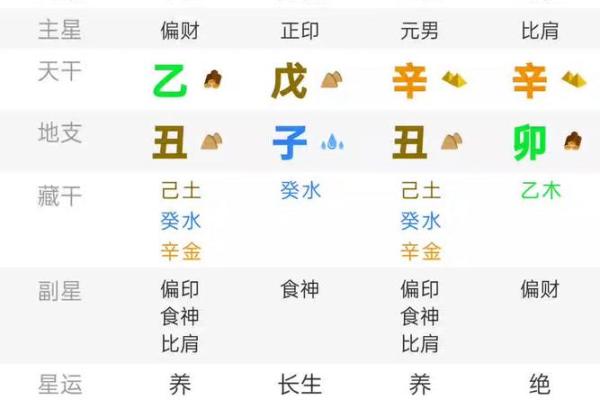 辛未男命解析：命中注定的性格与运势之道