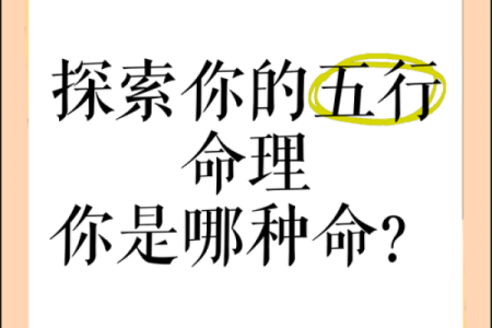 探索木命孩子的最佳命理特征与成长之道