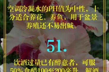 挑战百岁生活的秘密：健康与心态的双重追求