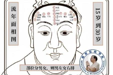 探秘龙年命理：如何选择适合你的命运与未来方向