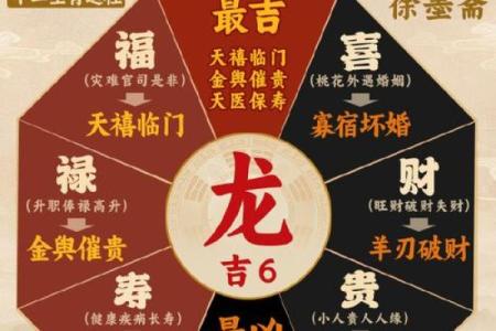 探索女属龙的五行命理和人生轨迹