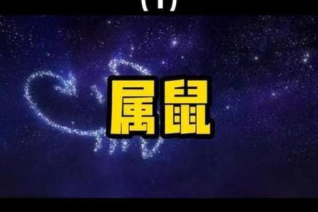 农历五月属鼠的命运与人生启示:从五行看鼠年的特质与发展
