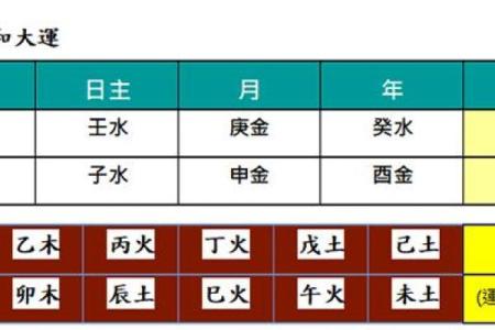 木命与水命:如何选择合适的经营项目?