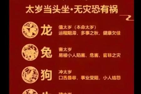 探秘龙命理：属龙的人最适合什么命格，如何掌握自己的命运？