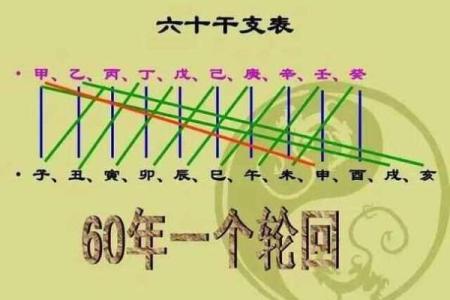 探索命理奥秘:命1与命4的深层意义解析