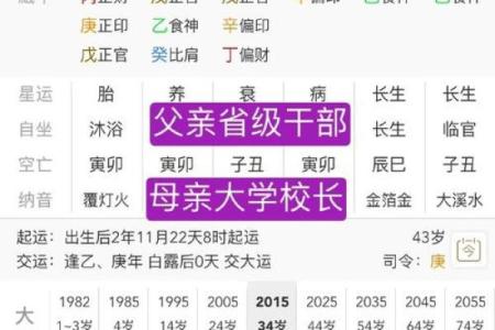 女命月支与时支相合的命理解析与影响
