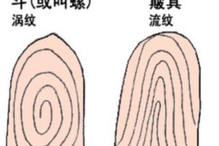 手上十个螺的女人：命运与生活的奇妙交织