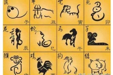 命里无金的生肖女，究竟隐藏着怎样的命运与性格？