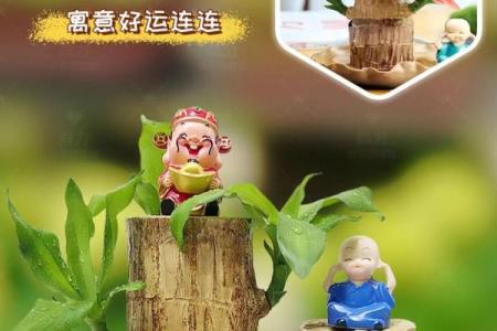 木命者的生活物品推荐,让好运伴你左右!