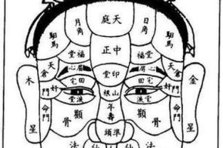 看相算命:揭开命运之谜的神秘面纱