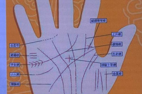 探秘命犯孤婚煞：孤独命理背后的深刻寓意与破解之道