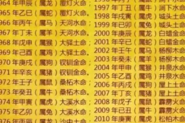 庚午男命：铸造光辉人生的金色阳光