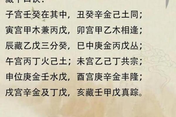 命局配对：揭示人生中不可或缺的和谐密码！