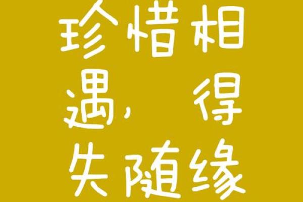 命里缺你的人，是命运的召唤与相遇的缘分