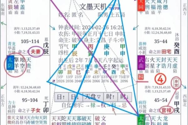 探秘命格与紫薇：揭开人生奥秘的神秘面纱
