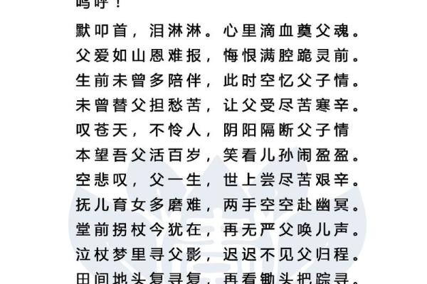 命里闯孝堂：探索传统文化与现代家庭价值的交融之美