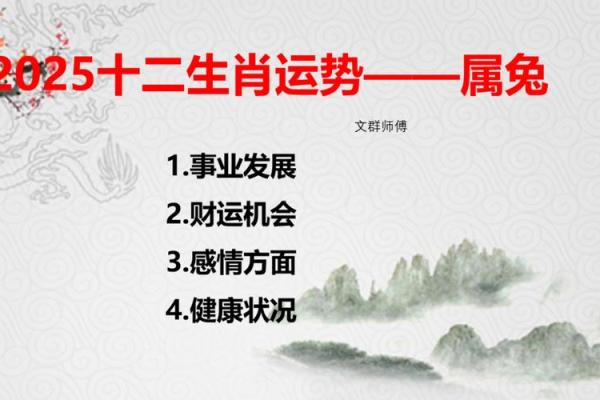 命理解读：属兔的命运之路与人生挑战