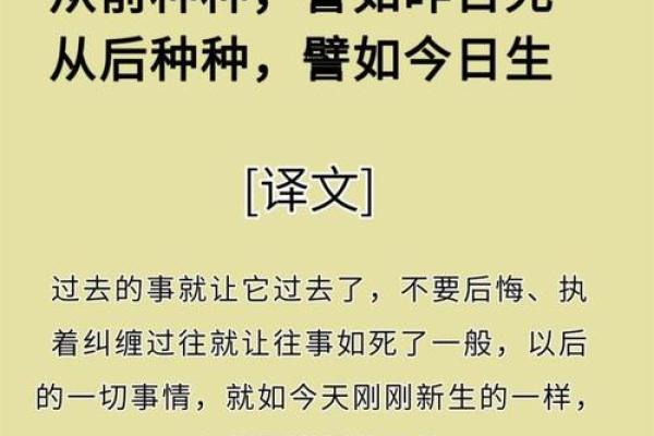 探索命运的奥秘，从“命”中去掉口字的启示