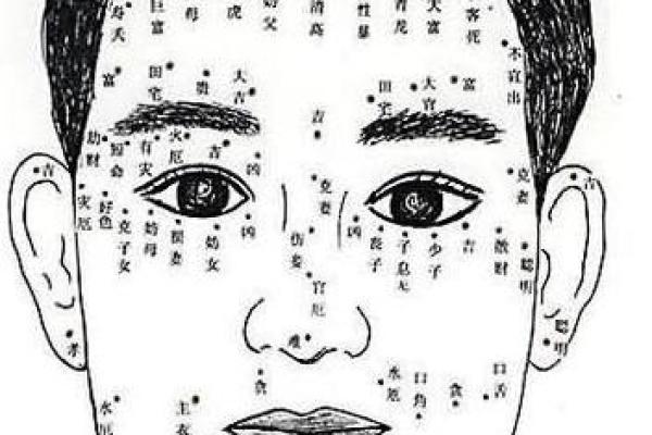 脸上有三个痣的命运解析：神秘面相与个性命运的深度解读