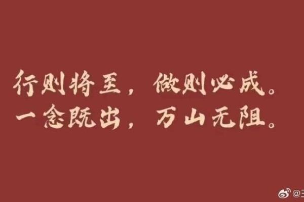 命如南山石，心似流水柔：人生的比较与感悟