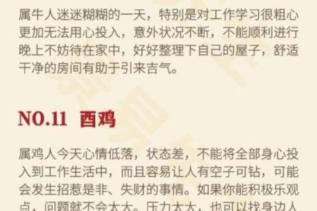 探究男属土命生肖的性格特点与运势分析