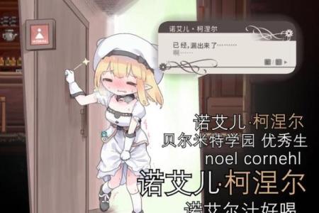诺艾尔满命效果解析:你不知道的“盾之女神”的秘密