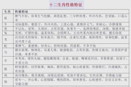 命里无时生肖解析：生肖与命理的奥秘与启示