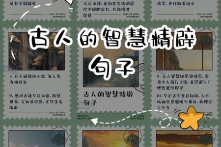 临命是非多,解析生活中的抉择与智慧