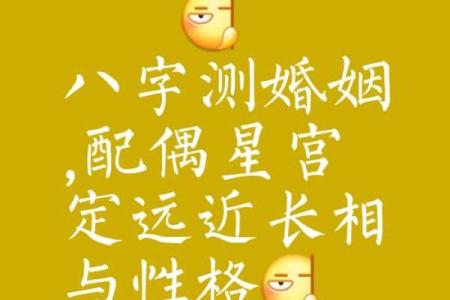 女命八字:动感情的秘密与探索